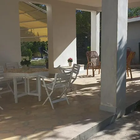 Salva